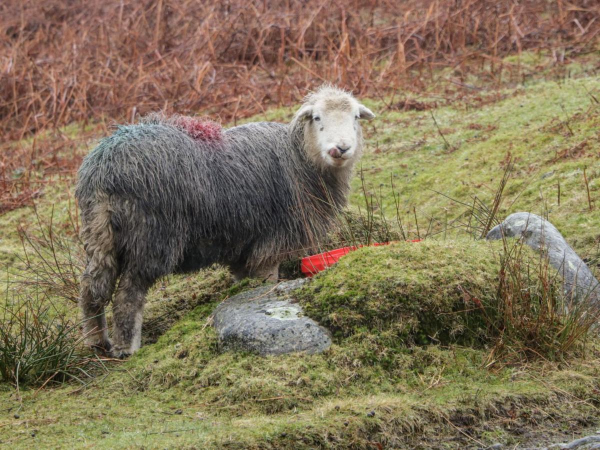 Windermere Kendal Zewnętrze zdjęcie